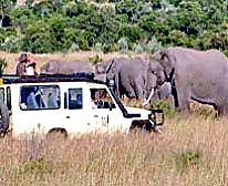 2 Days Tsavo East & Tsavo West